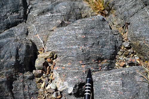 This is what all the fuss is about: garnet amphibolites!